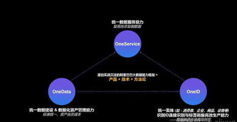 阿里數(shù)據科學家一次講透數(shù)據中臺與大數(shù)據服務